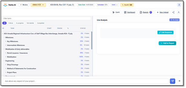 The Analyze dashboard after upload, with the AI assistant and chart grid